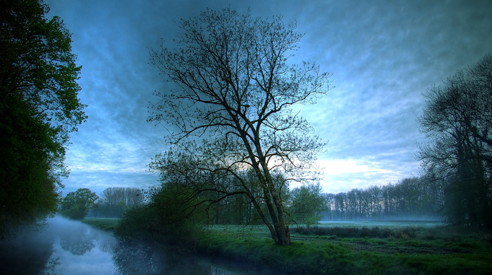 trees, canal, water, landscape, mist