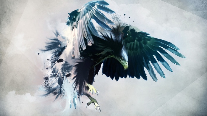 artwork, eagle, digital art