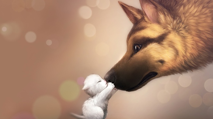 baby animals, artwork, bokeh, cat, anime, dog