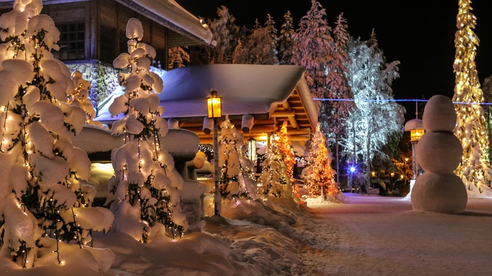 night, Christmas, snow, trees