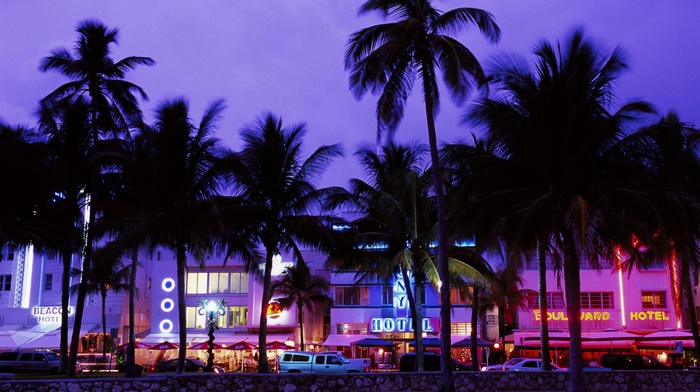 summer, neon, miami