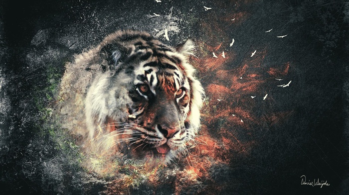 tiger, digital art, abstract