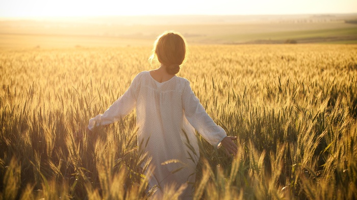 hair bun, girl, sunlight, field