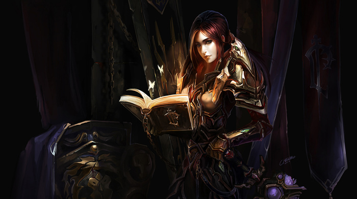 Paladin, fantasy art, Warcraft, girl