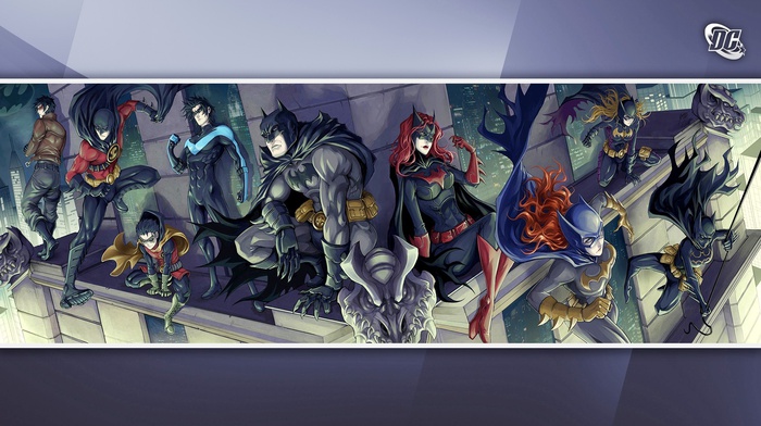 Red Robin, robin character, Gotham City, Batgirl, Batwoman, DC Comics, Batman, nightwing
