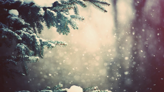snow