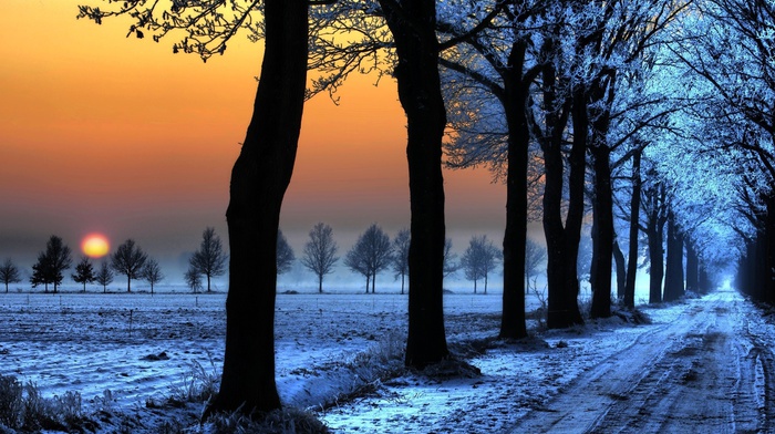 sunset, road, landscape, trees, snow