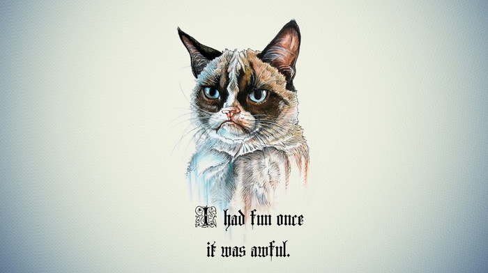Grumpy Cat, quote, cartoon