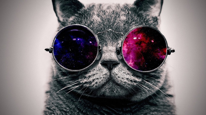 minimalism, abstract, glasses, space, cat, animals