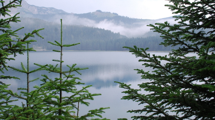 nature, lake
