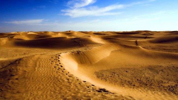 nature, desert