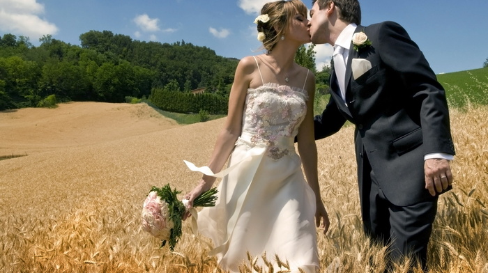 bouquet, roses, field, love