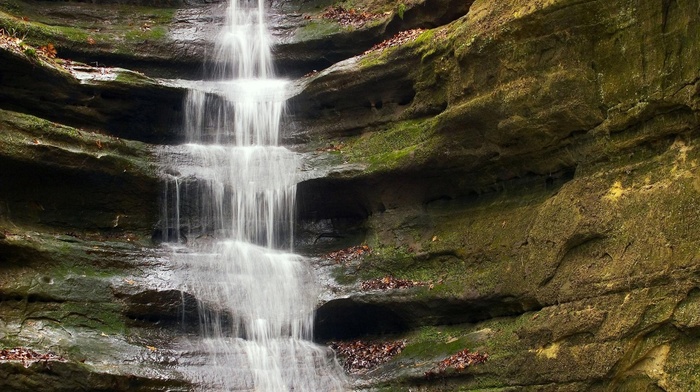 moss, nature, waterfall