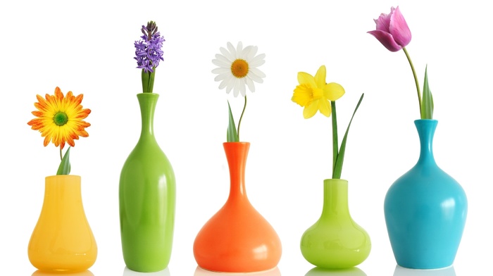 flowers, vase, creative