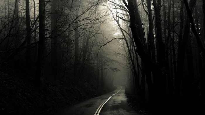 mist, dark, road