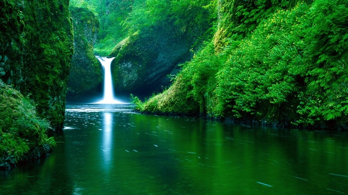 waterfall, forest, river, water, green, nature, landscape