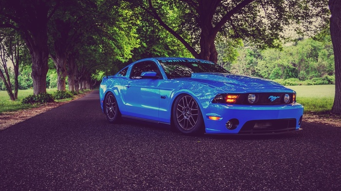 muscle cars, low ride, Ford Mustang, blue cars, tuning
