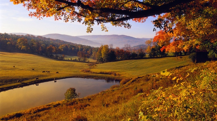 lake, landscape