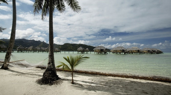 mountain, summer, waves, island