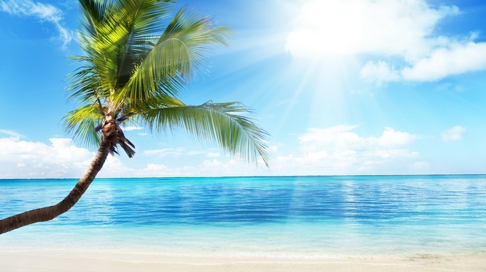 summer