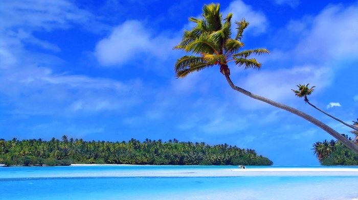 island, palm trees, sea, summer