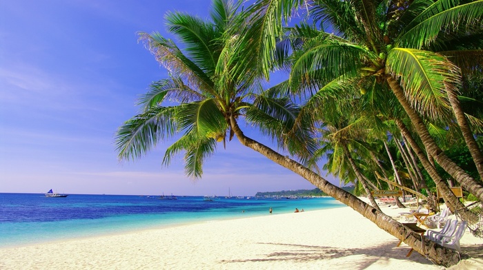 sea, sky, palm trees, Sun, summer