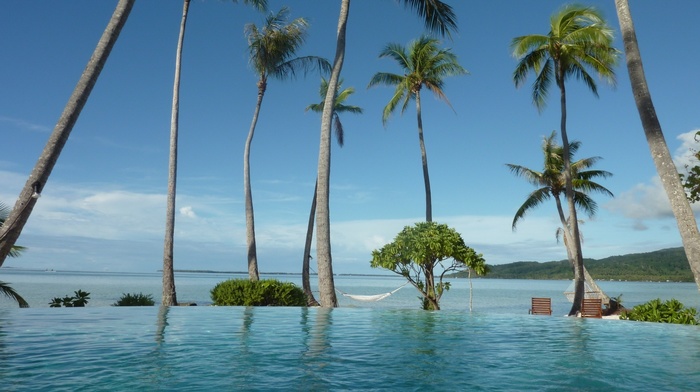 summer, trees, palm trees, water, sea