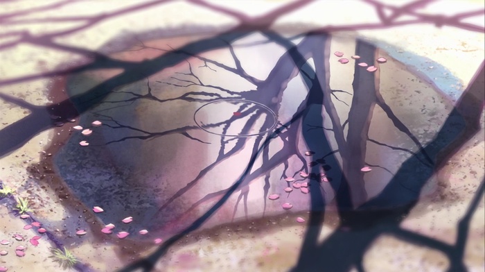 nature, 5 Centimeters Per Second, anime, Makoto Shinkai