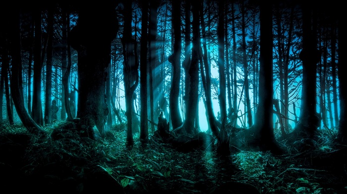 forest