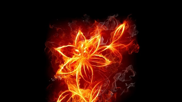 3D, flame, flower