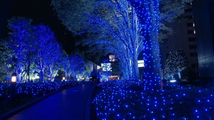 lights, blue