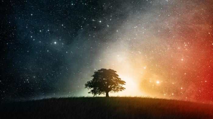 simple, space, trees, stars