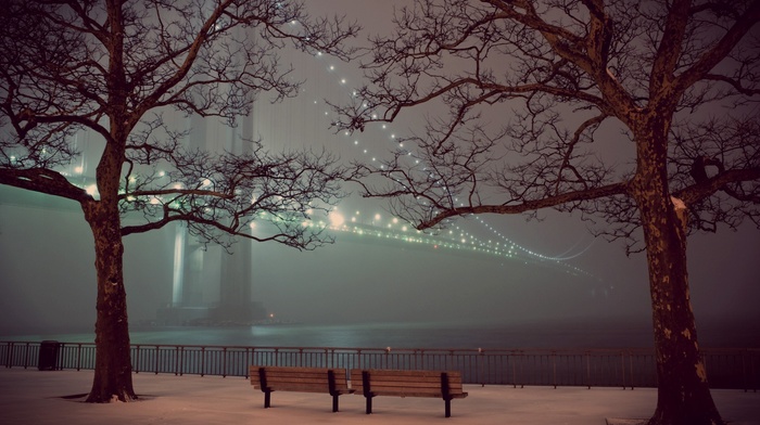 bench, water, trees, bridge