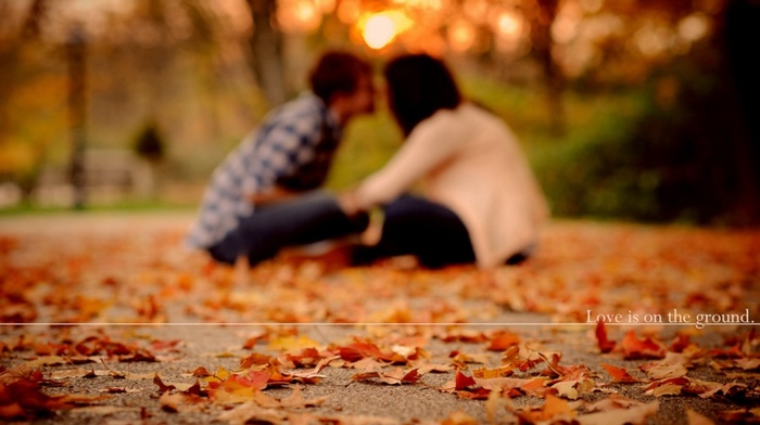 love, autumn