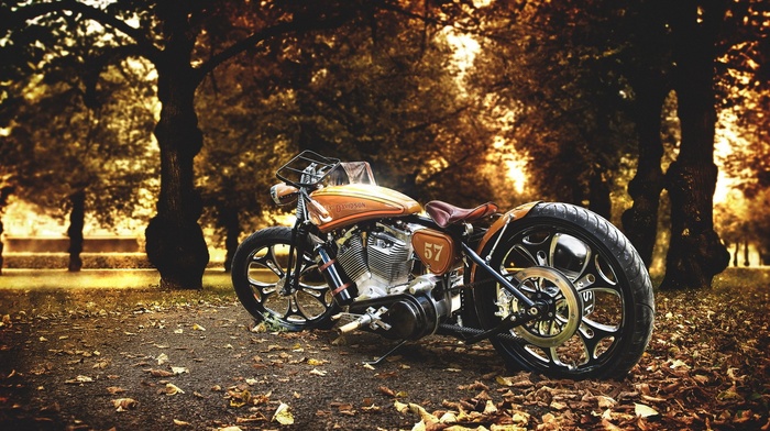 fall, Harley Davidson, leaves