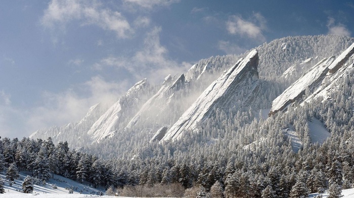 winter, mountain, nature, landscape, forest