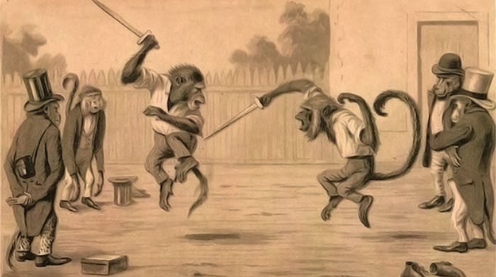 fencing, fighting, monkeys