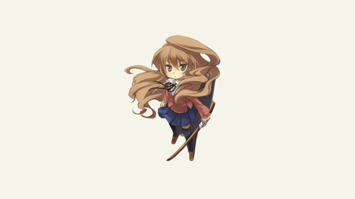 Toradora, Aisaka Taiga