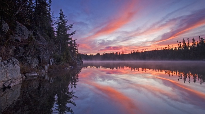 trees, lake, forest, landscape, nature, reflection