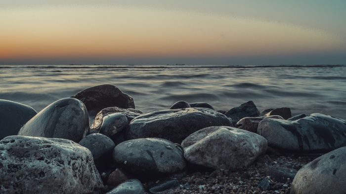 water, stones, seals, beach, sunset