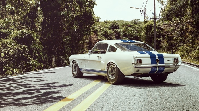 Ford Mustang, Ford, car