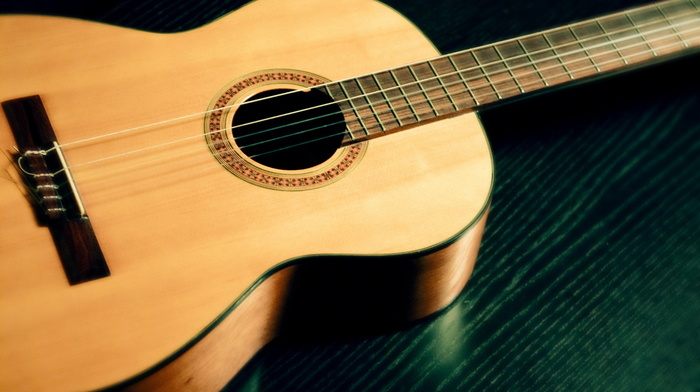 music, tree, guitar