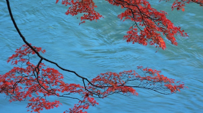 water, autumn