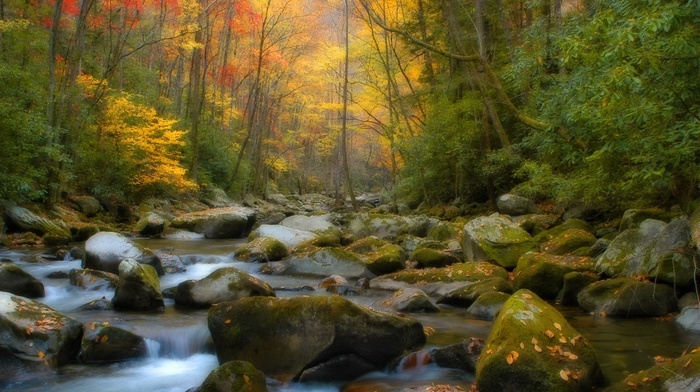 creek, stones, autumn