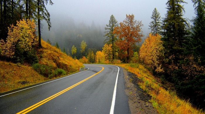 mountain, autumn, road