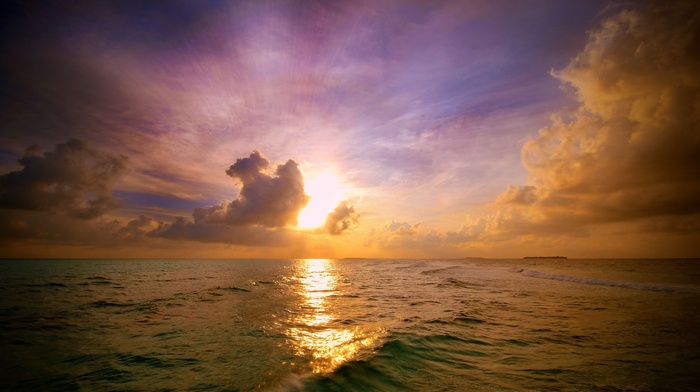 nature, sun rays, horizon