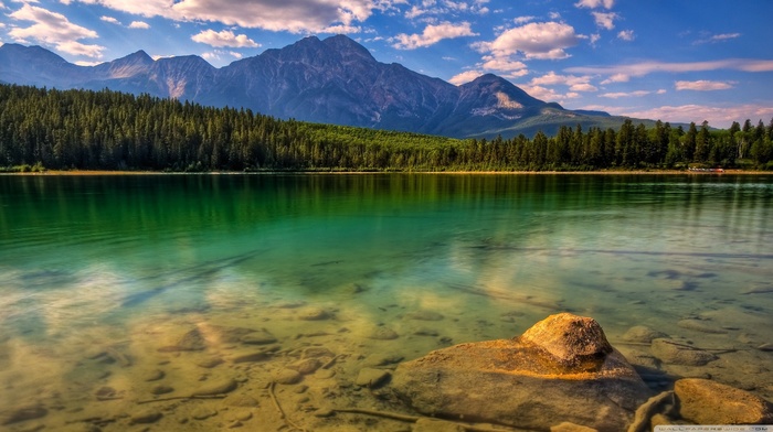 mountain, nature, forest, water