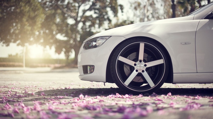 depth of field, petals, car, BMW, white cars, sunlight, BMW 3 Series