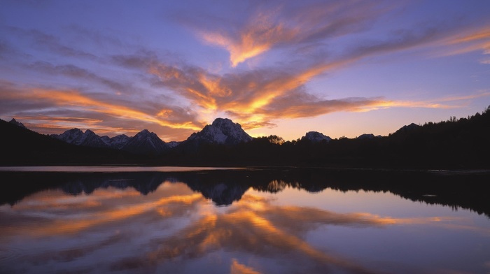 nature, reflection