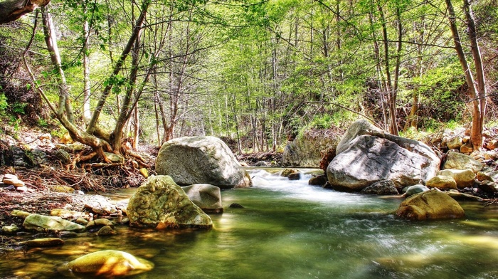 stones, nature, creek